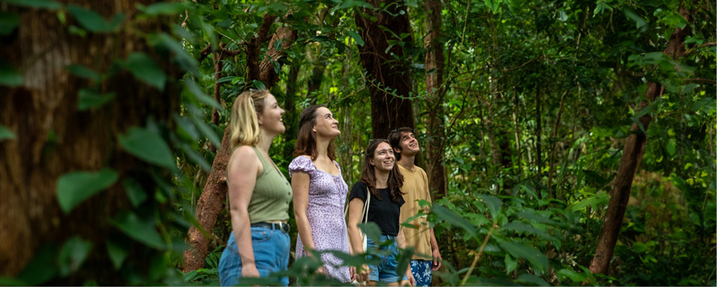 Friends walking through the Fitzroy Island Rainforest. Cairns Tours. Great Barrier Reef and Fitzroy Island.