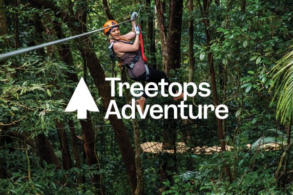 Treetops Adventure | Zipline Tours | Cape Tribulation Daintree Rainforest