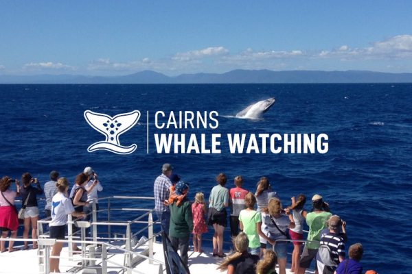 Cairns Whale Watching Tour